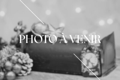 Bûche de Noël Casse-Noisette